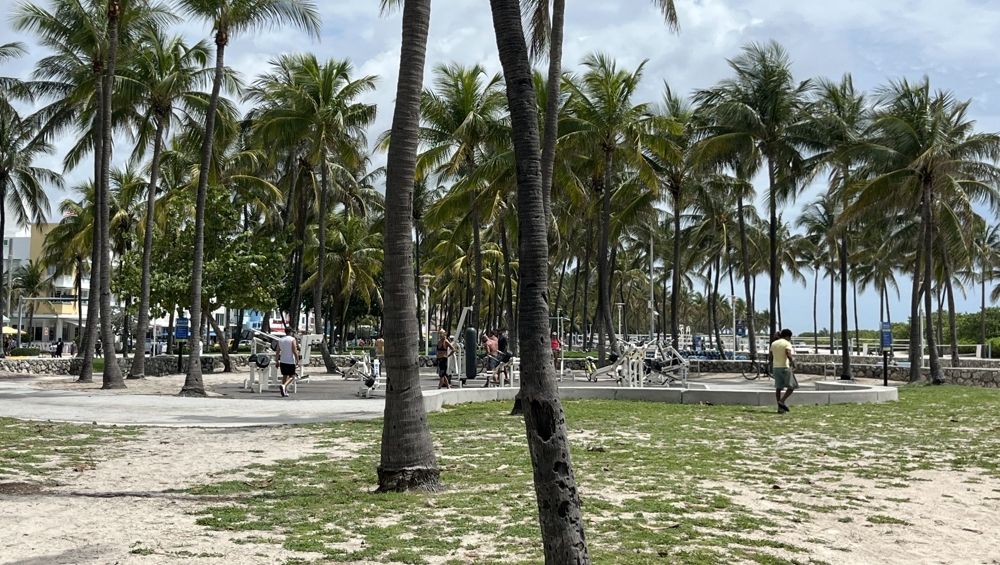 Easy Ways to Enjoy CBD Rehab Drinks in Your Routine